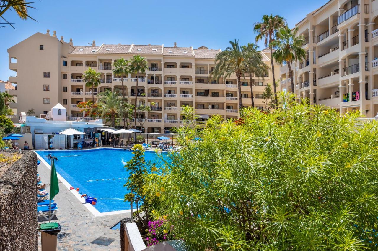 Castle Harbour Cozy Studio Heated Pool Los Cristianos Lovetenerife アロナ エクステリア 写真